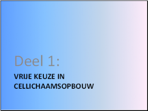 Vrije Keuze Beleving 005