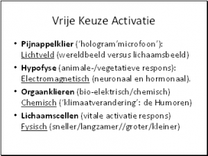 Vrije Keuze Beleving 009
