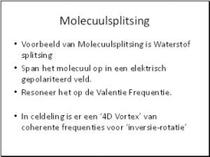 Vrije Keuze Beleving 014