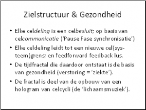Vrije Keuze Beleving 019